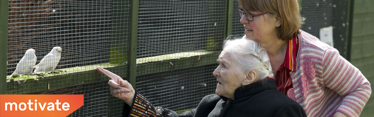 Asume, Motivate - Volunteering in Dementia